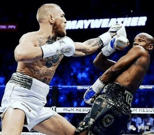 娱乐嘴炮吃瓜视频下载,揭秘娱乐圈幕后故事