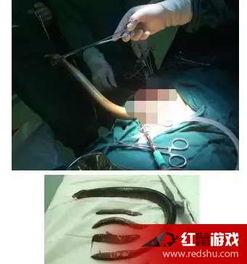 求黄鳝女主播视频地址,网络直播界的神秘魅力