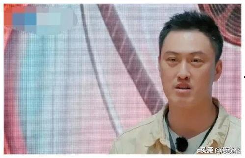 娱乐圈吃瓜最前线